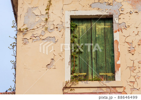 Window of Abandoned Building with Creeper Plants and Broken Wall Window of Abandoned Building with Creeper Plants and Broken Wall 88646499