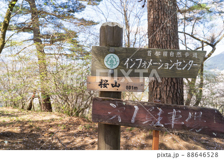 桜山の山頂(群馬県藤岡市) 桜山の山頂(群馬県藤岡市) 88646528