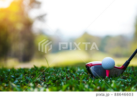 Golf balls on the golf course with golf clubs ready for golf in the first short. In the morning, with the beautiful sunlight. 88646603