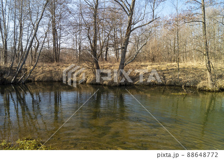 Spring landscape with stream in wood on background blue sky Spring landscape with stream in wood on background blue sky 88648772