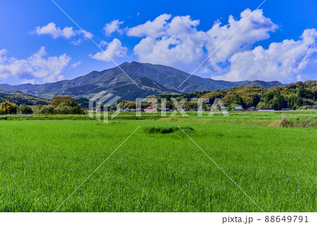 紫尾山 紫尾山 88649791