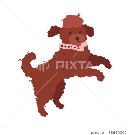 Jumping Dog as Domestic Pet with Collar Vector Illustration 88650202
