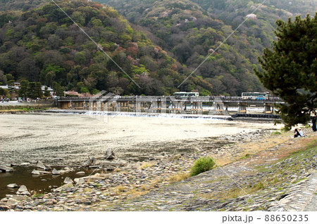 京都 春の嵐山と渡月橋 京都 春の嵐山と渡月橋 88650235