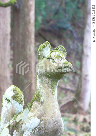 稲荷神社のキツネ像 88651283