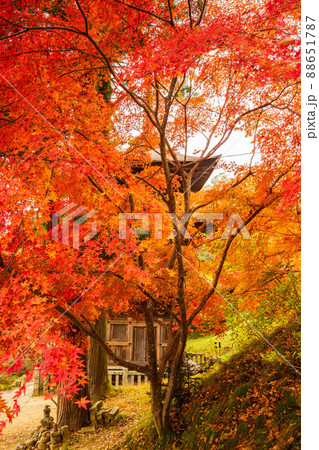 秋の信州青木村 紅葉の大法寺 国宝三重塔 秋の信州青木村 紅葉の大法寺 国宝三重塔 88651787