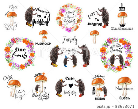 Hedgehogs, mushroom ,wreaths with flowers. Clipart, background 88653071