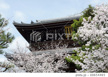 春の金戒光明寺 山門 京都市左京区黒谷 春の金戒光明寺 山門 京都市左京区黒谷 88654465