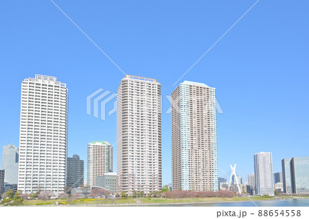 東京都隅田川テラスの風景 88654558
