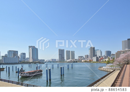 東京都越中島公園から晴海方面を見た風景 88654583