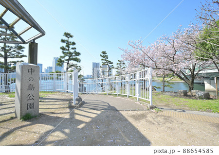 東京都中の島公園の風景 88654585