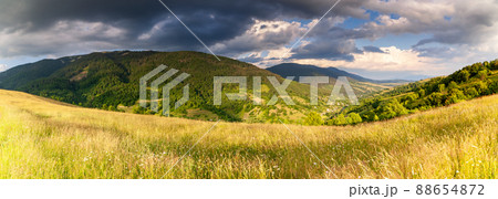 Wonderful panoramic view field of wild flowers by summertime. Area of the Carpathian Mountains above Kamyanka Mountain, Synevir pass. Ukraine.  88654872
