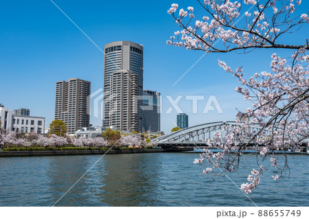 OAPタワー　春の大川 88655749