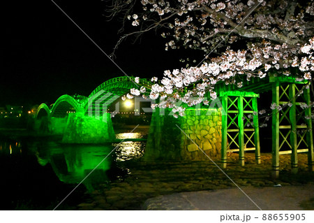 岩国市錦帯橋と桜の夜景 88655905