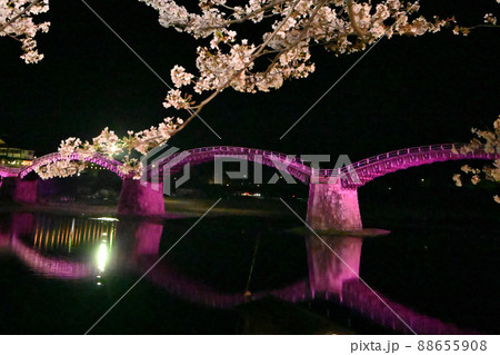 岩国市錦帯橋と桜の夜景 88655908