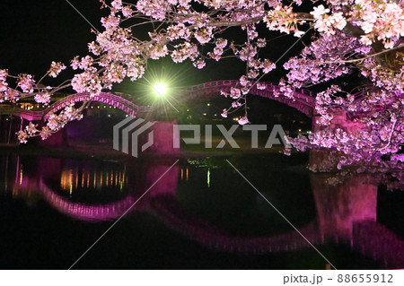 岩国市錦帯橋と桜の夜景 88655912