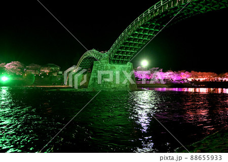 岩国市錦帯橋と桜の夜景 88655933