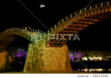 岩国市錦帯橋と桜の夜景 岩国市錦帯橋と桜の夜景 88655996