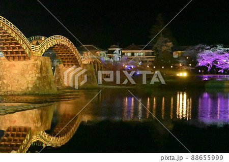 岩国市錦帯橋と桜の夜景 88655999