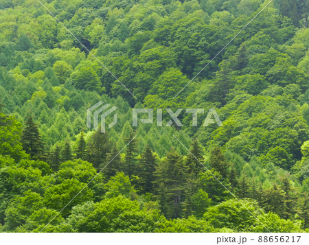 川原毛地獄から見る山々（秋田県湯沢市） 88656217