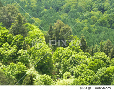 川原毛地獄から見る山々(秋田県湯沢市) 川原毛地獄から見る山々(秋田県湯沢市) 88656229