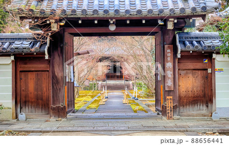 京都、西陣興聖寺（織部寺） 88656441