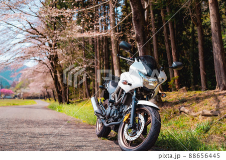 春のバイクツーリング 桜咲く里山の道　a-1 88656445