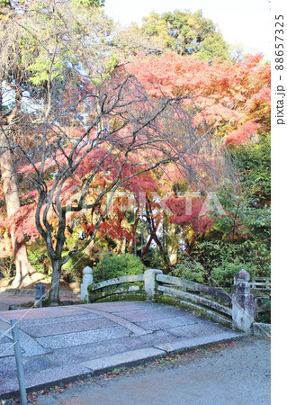 三井寺 秋の紅葉と村雲橋 三井寺 秋の紅葉と村雲橋 88657325