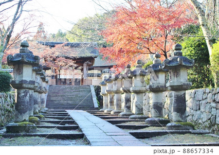 三井寺 秋の紅葉と唐院への参道 三井寺 秋の紅葉と唐院への参道 88657334