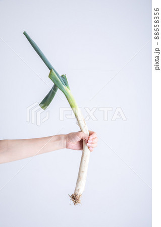 長ねぎ　Leek	 88658356