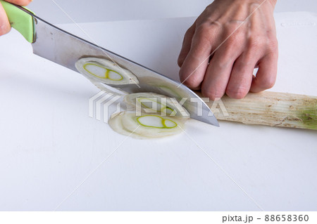長ねぎ　Leek	 88658360