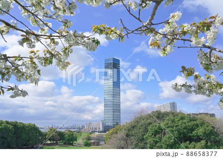 春の千葉港の風景とポートタワー 88658377