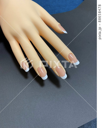 フレンチネイル フレンチネイル 88658478