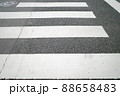 横断歩道 88658483