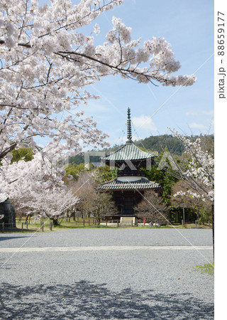 春の清涼寺　多宝塔　京都市右京区嵯峨 88659177