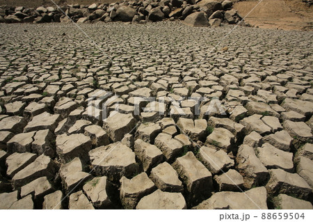 the drought season in Hong Kong, Lower Shing Mun Reservoir 88659504