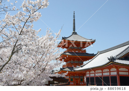 春の清水寺　三重塔　京都市東山区 88659618