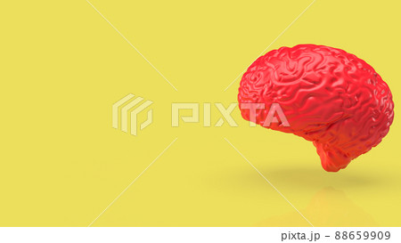 red brain on yellow back ground 3d rendering 88659909