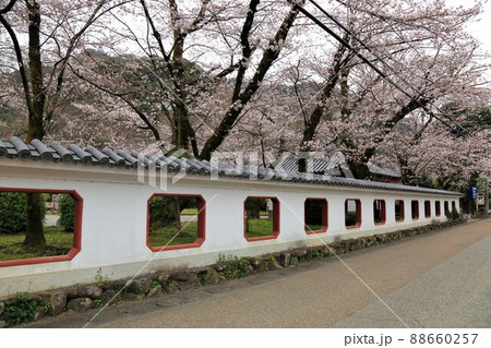 春の城下町・64(岐阜県岐阜市:岐阜公園) 春の城下町・64(岐阜県岐阜市:岐阜公園) 88660257