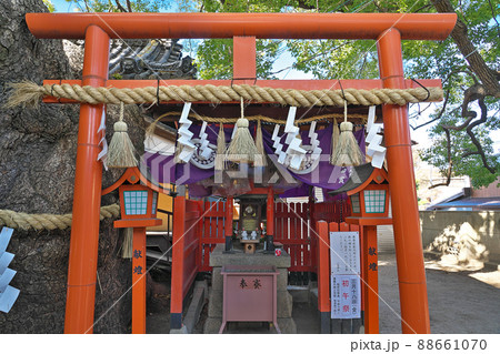 【三島神社】 大阪府門真市三ツ島 【三島神社】 大阪府門真市三ツ島 88661070