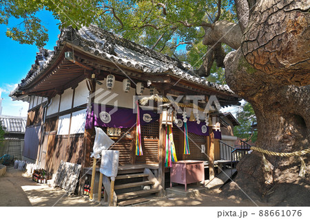 【三島神社】 大阪府門真市三ツ島 88661076
