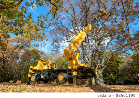 東京都代々木公園の植栽の剪定 88661199