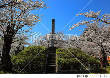 日本さくら名所百選　鶴岡公園の桜　明治天皇行幸記念碑 88661845