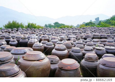 景色 風景 梅の実農園 88662169