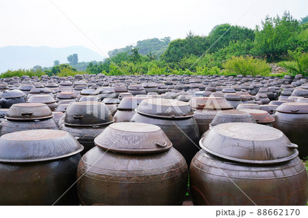 景色 風景 梅の実農園 88662170