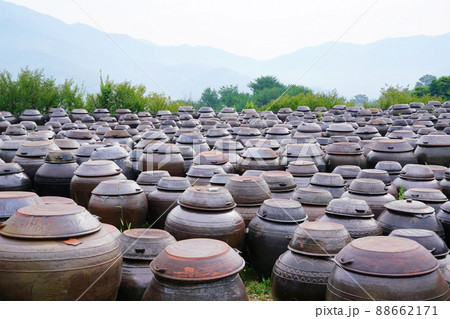 景色 風景 梅の実農園 88662171