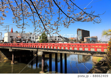 内川河川緑地の桜 三雪橋 内川河川緑地の桜 三雪橋 88662409