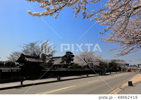 国指定史跡庄内藩校「致道館」 国指定史跡庄内藩校「致道館」 88662419