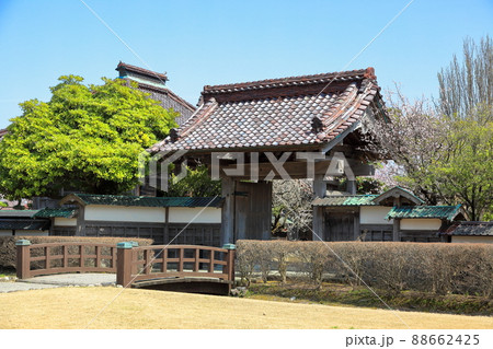 内川河川緑地の桜 内川河川緑地の桜 88662425