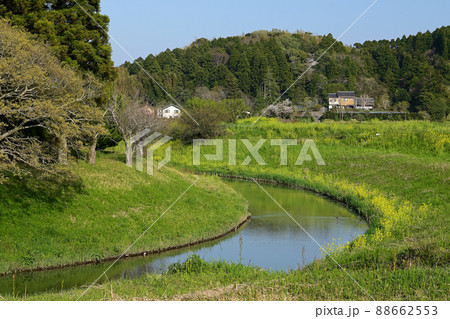 春の瑞沢川　千葉県睦沢町 88662553