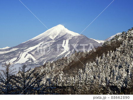 快晴の青空に冠雪の磐梯山と木々とのコラボレーションが綺麗 快晴の青空に冠雪の磐梯山と木々とのコラボレーションが綺麗 88662890